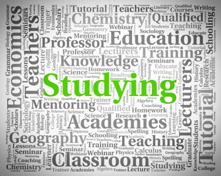 Illustration for article titled Fruitful Education Market Data Gathering and Research